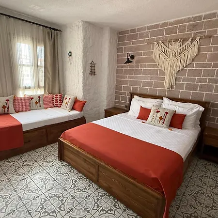 Q-zen House Cunda Eskiomerler