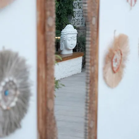 Q-zen House Cunda * Eskiomerler